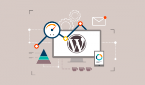 wordpress development